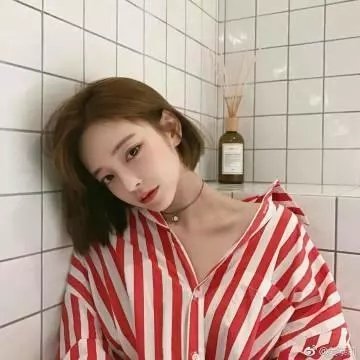 真假维梅尔