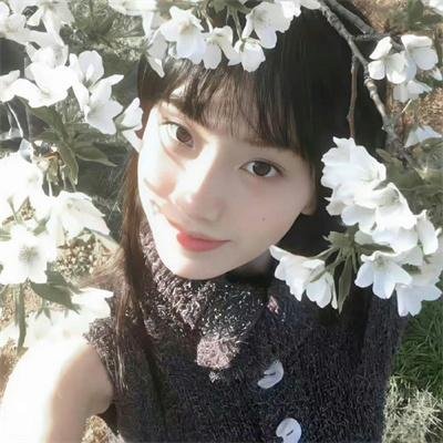 壁花少年