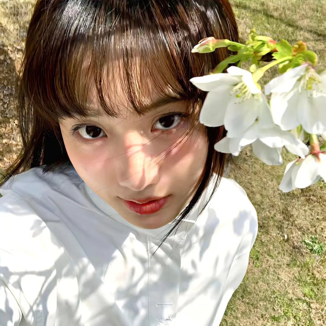 玉女求凰